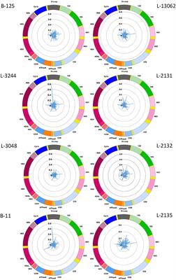 Nanopore Single-Molecule Sequencing for Mitochondrial DNA Methylation Analysis: Investigating Parkin-Associated Parkinsonism as a Proof of Concept